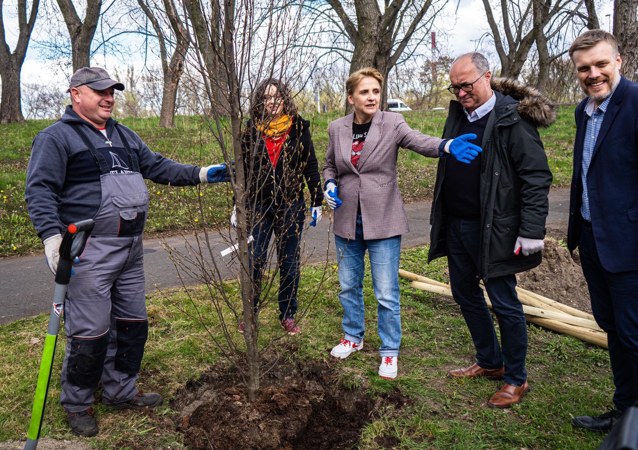 Czarzasty Biedroń Zandberg sadzenie drzew